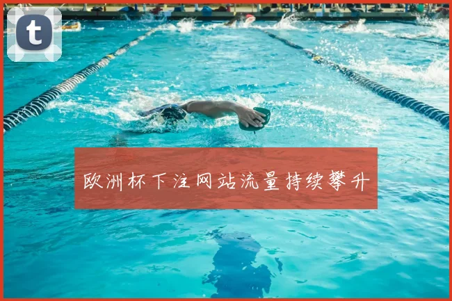 欧洲杯下注网站流量持续攀升