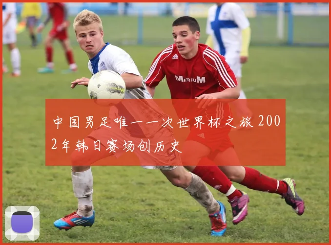 中国男足唯一一次世界杯之旅 2002年韩日赛场创历史