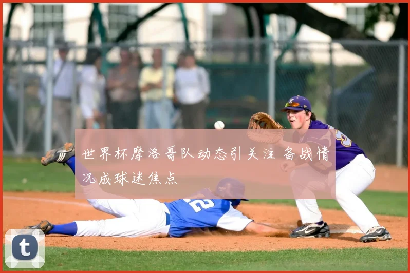 世界杯摩洛哥队动态引关注 备战情况成球迷焦点
