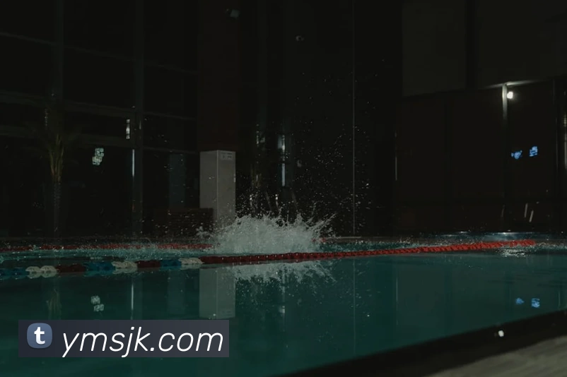 多媒体互动体验